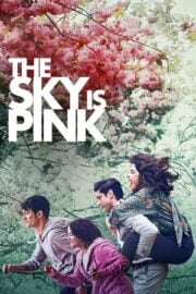 Gökyüzü Pembe / The Sky Is Pink
